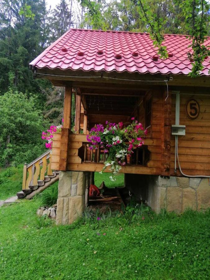 Микулин Хутірець Mykulychyn Exterior photo